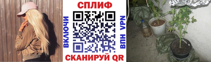 Бошки марихуана Amnesia  наркота  Светогорск 